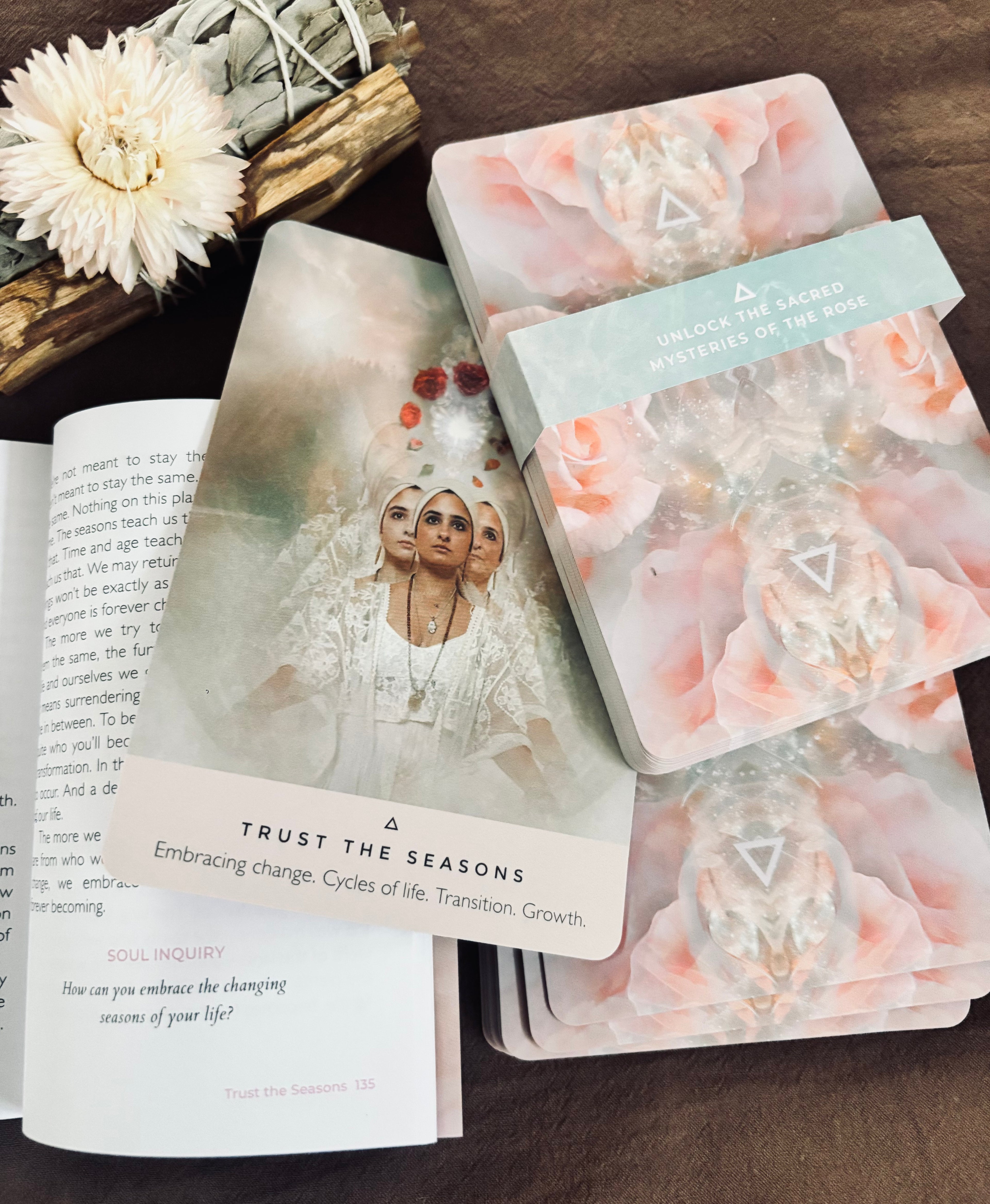 The Rose Oracle Cards