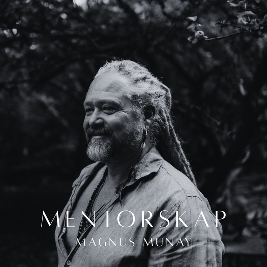 Mentorskap med Magnus 5 tillfällen