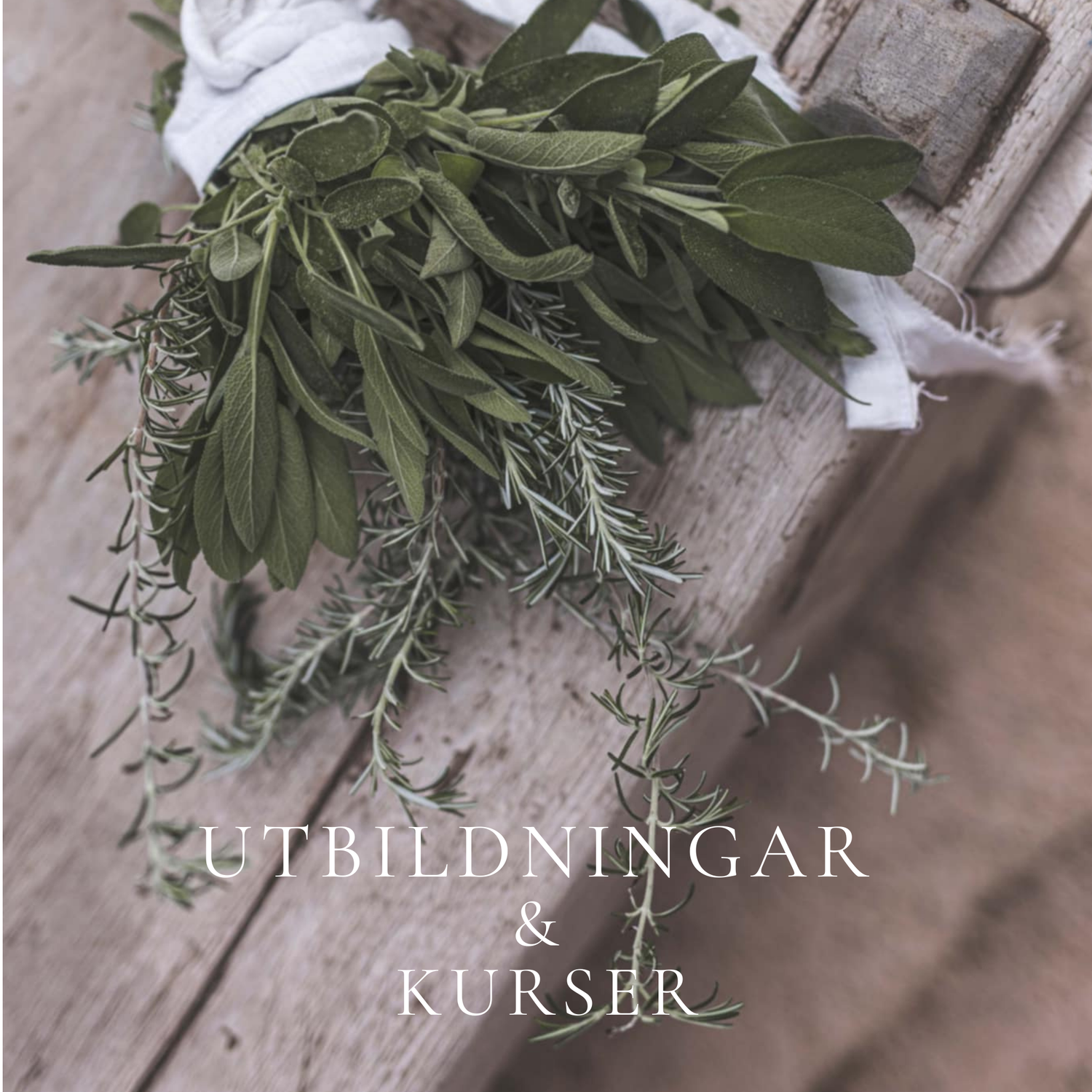 Kurser och utbildningar