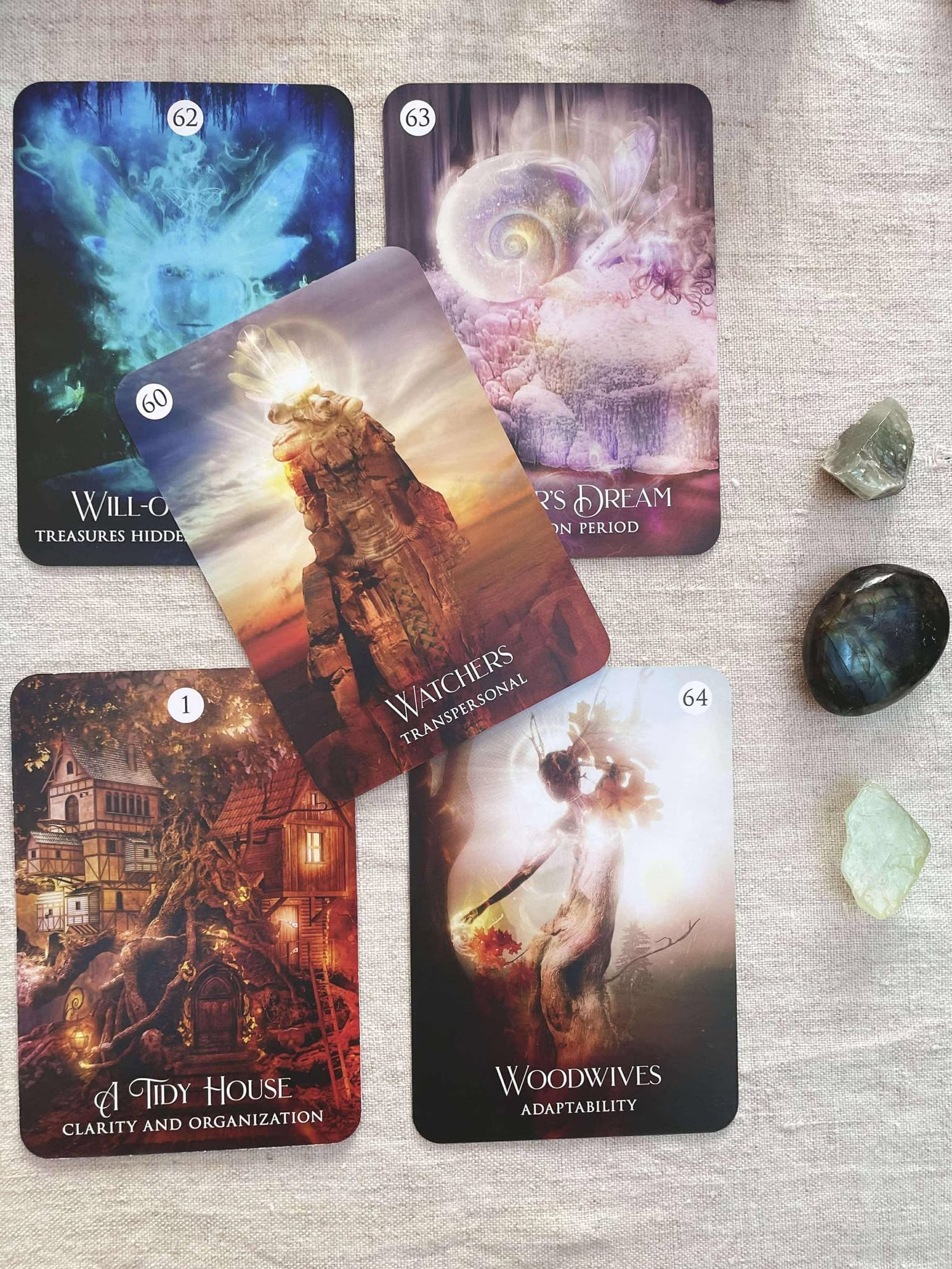 The Shamans Dream Oracle Cards