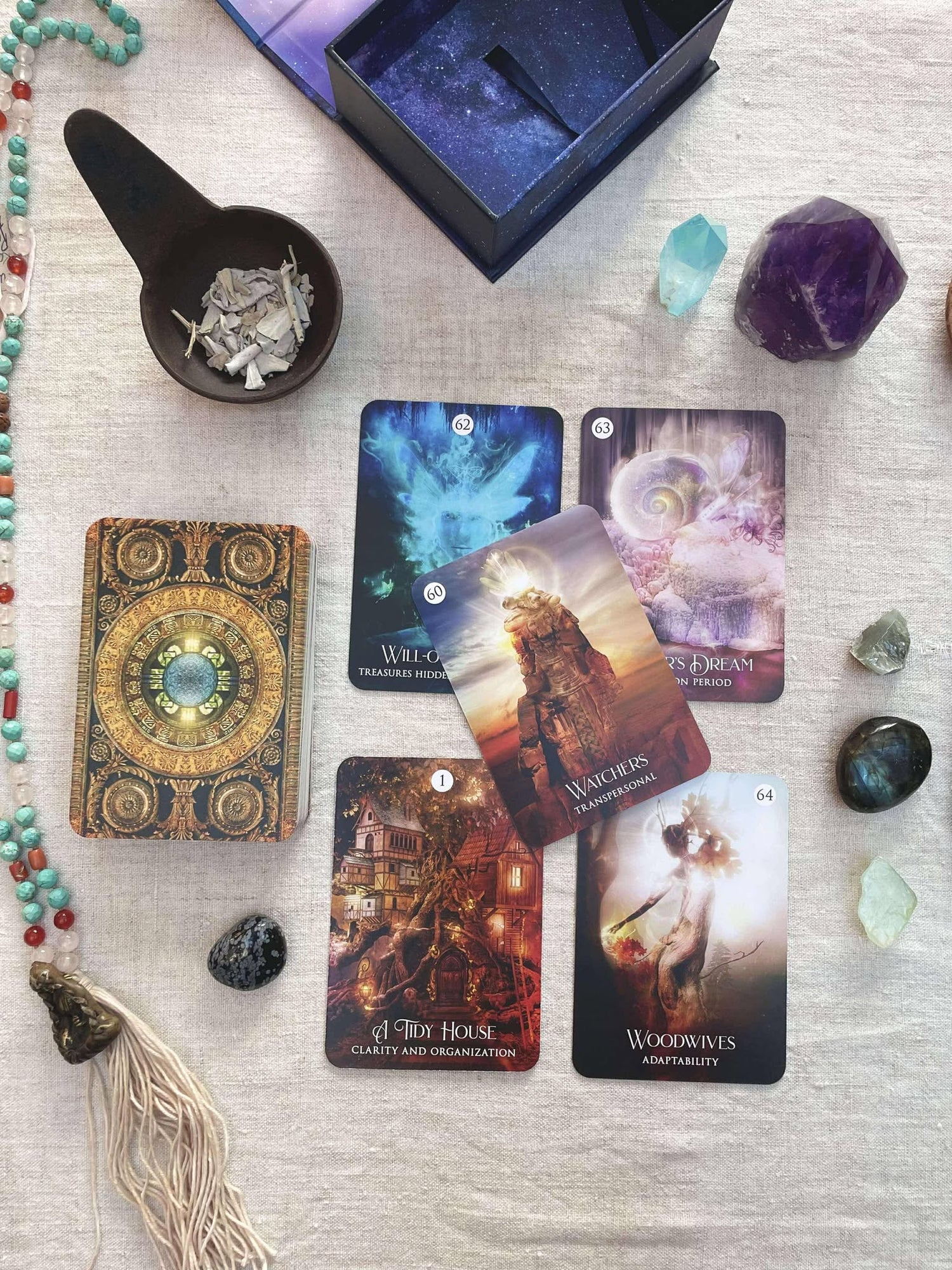 The Shamans Dream Oracle Cards