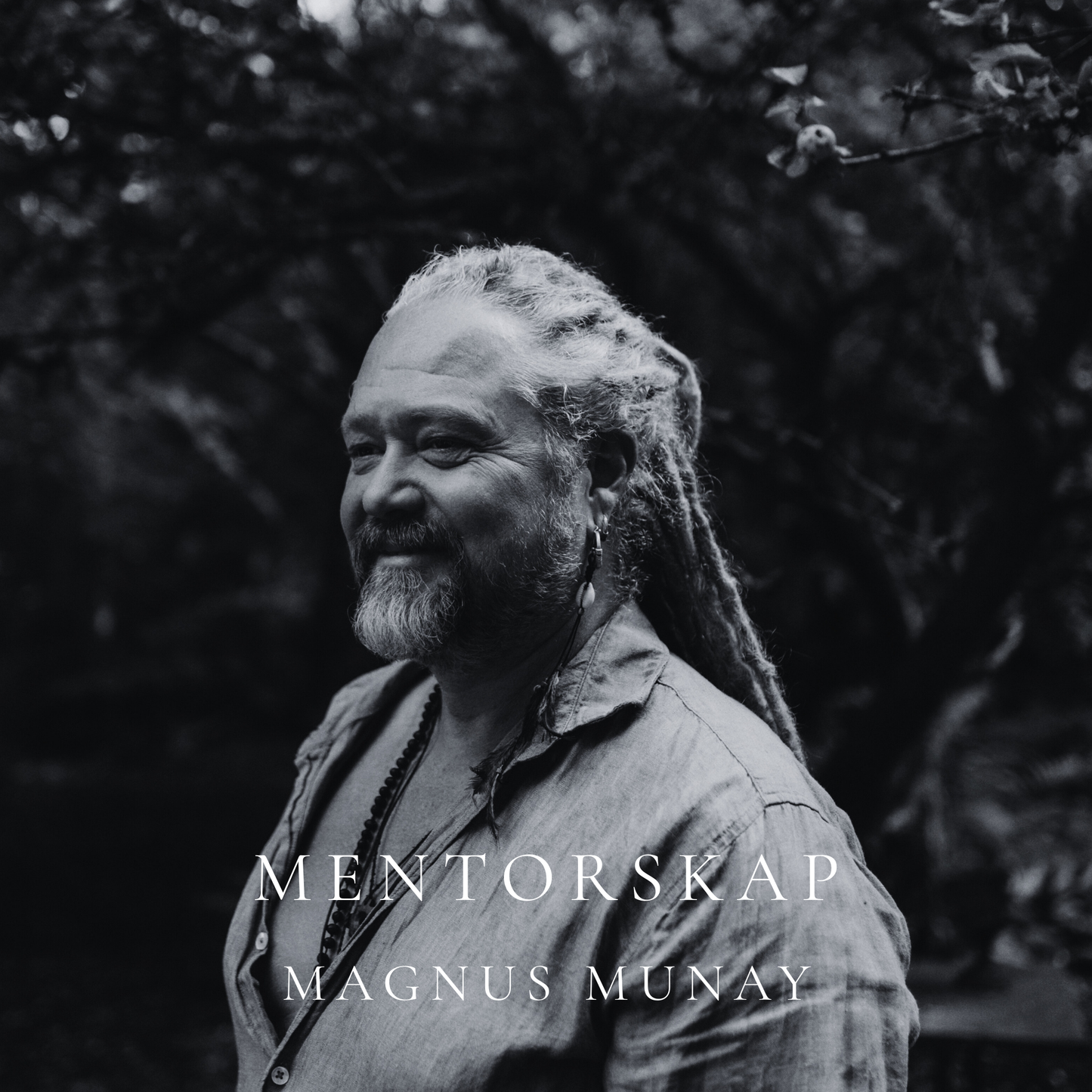 Mentorskap med Magnus 5 tillfällen