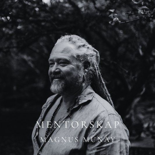 Mentorskap med Magnus 5 tillfällen