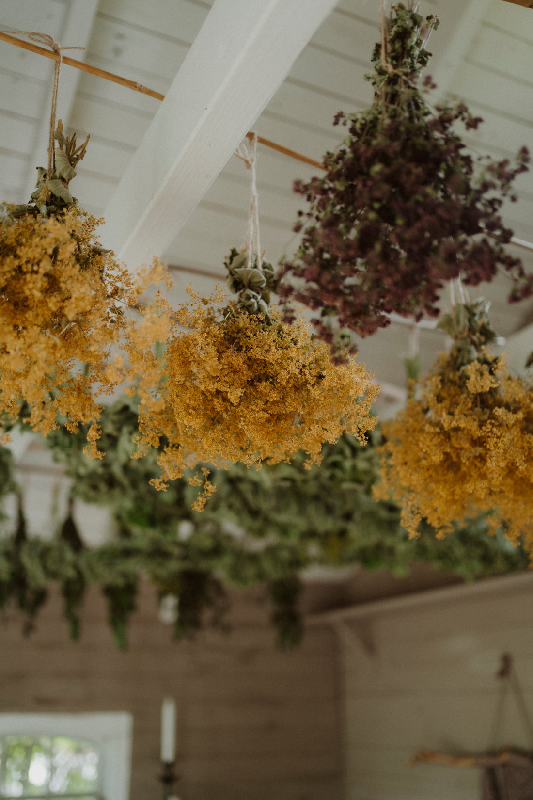 Herbal Tea Moonblood