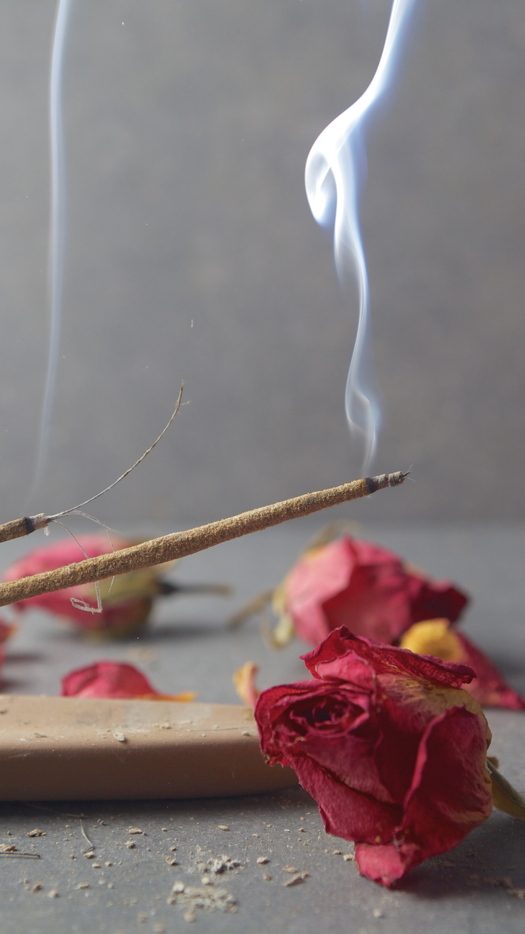 Gaia Temple Natural incense 12-pack